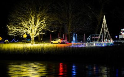 Illuminate Ozaukee Seeks Sponsorships and Plot Registrations